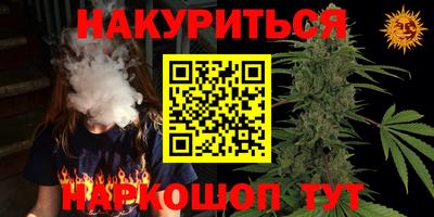 стаф Берёзовский
