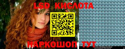 стаф Берёзовский