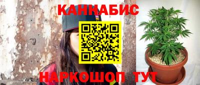 стаф Берёзовский