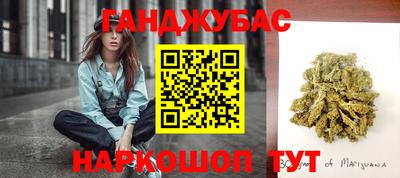стаф Берёзовский