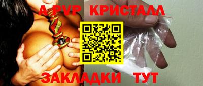 стаф Берёзовский