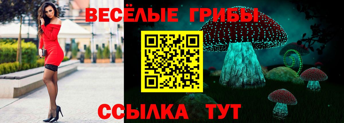 Кимовск  Галлюциногенные грибы мицелий  Псилоцибиновые грибы Psilocybe  Вход с VPN 