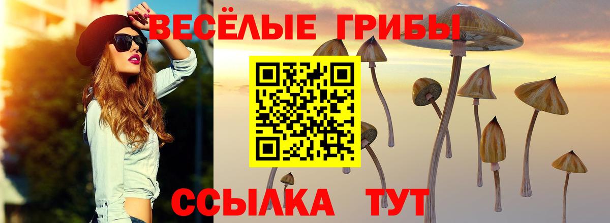 Галлюциногенные грибы Cubensis Кимовск