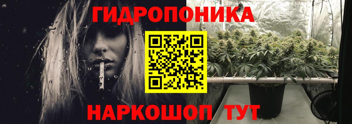 Бошки марихуана VHQ Кимовск